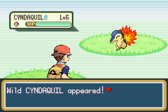 Cyndaquil encounter