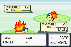 Cyndaquil VS Cyndaquil
