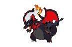 darkri + charizard