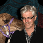 demcamelz