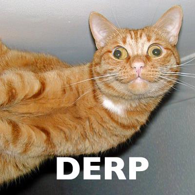 derp1