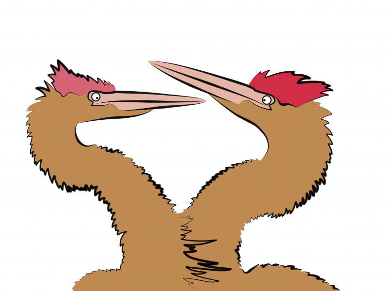 Digital drawing of two Fearow made using Photoshop.