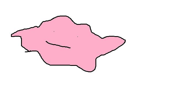 Ditto