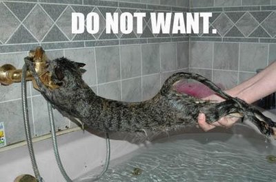 Do not want