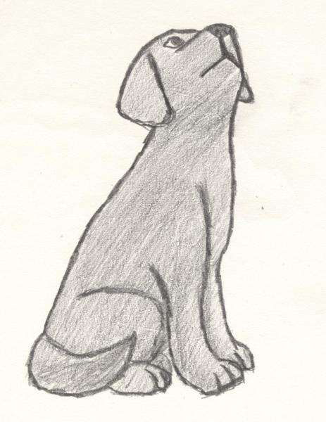 Doggie :3