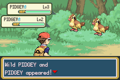 Double wild battle!