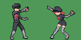 DPP teamrockets