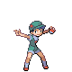 dptr008