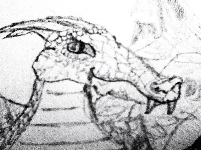 Drago close up (Drawing by me, this is actual very fine detail as its magnified a few times)