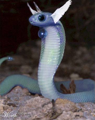 Dragonair