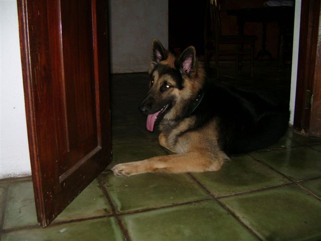 DSC00191