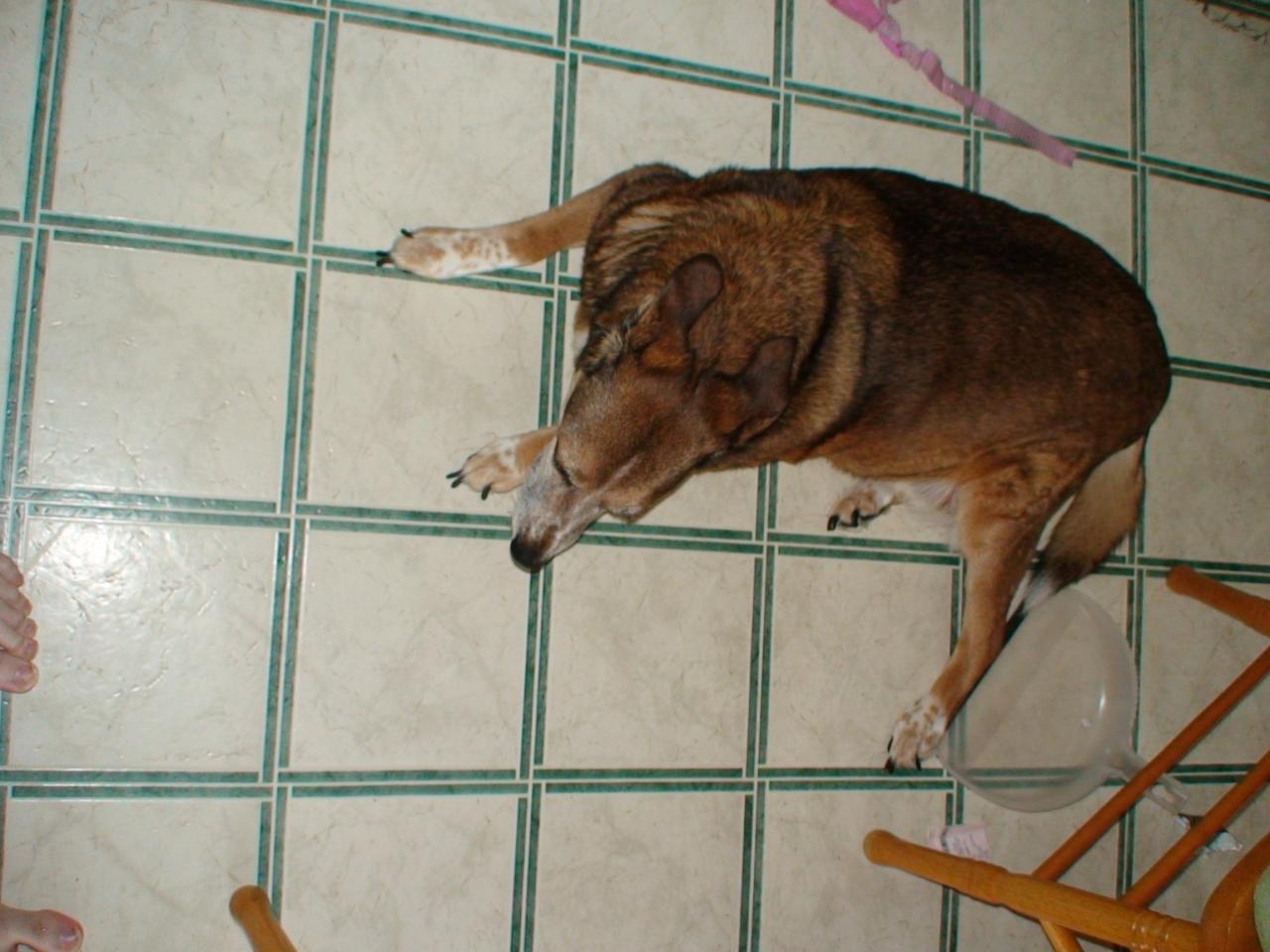 DSC03417