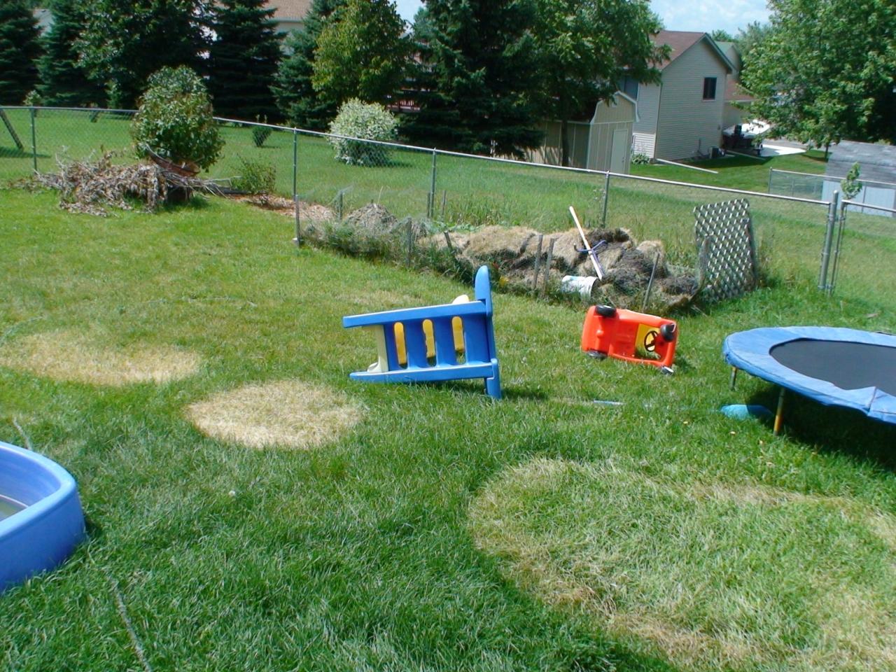 DSC03420
