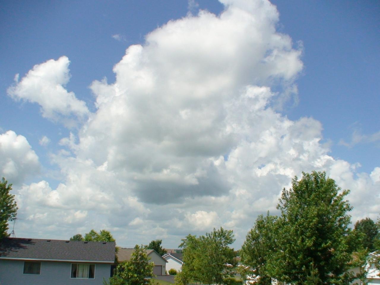 DSC03422