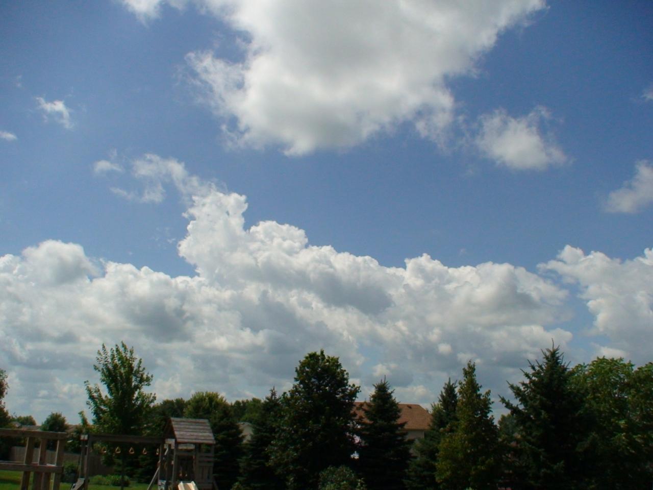 DSC03423