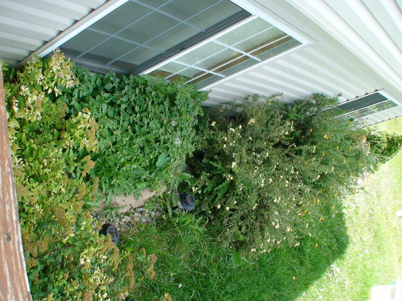 DSC03424