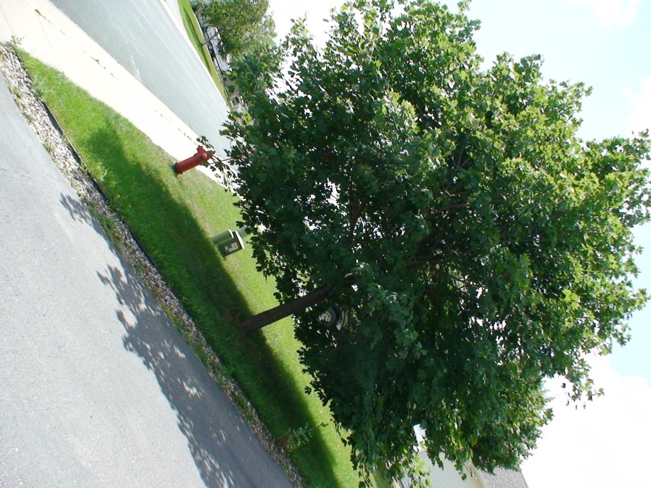 DSC03428