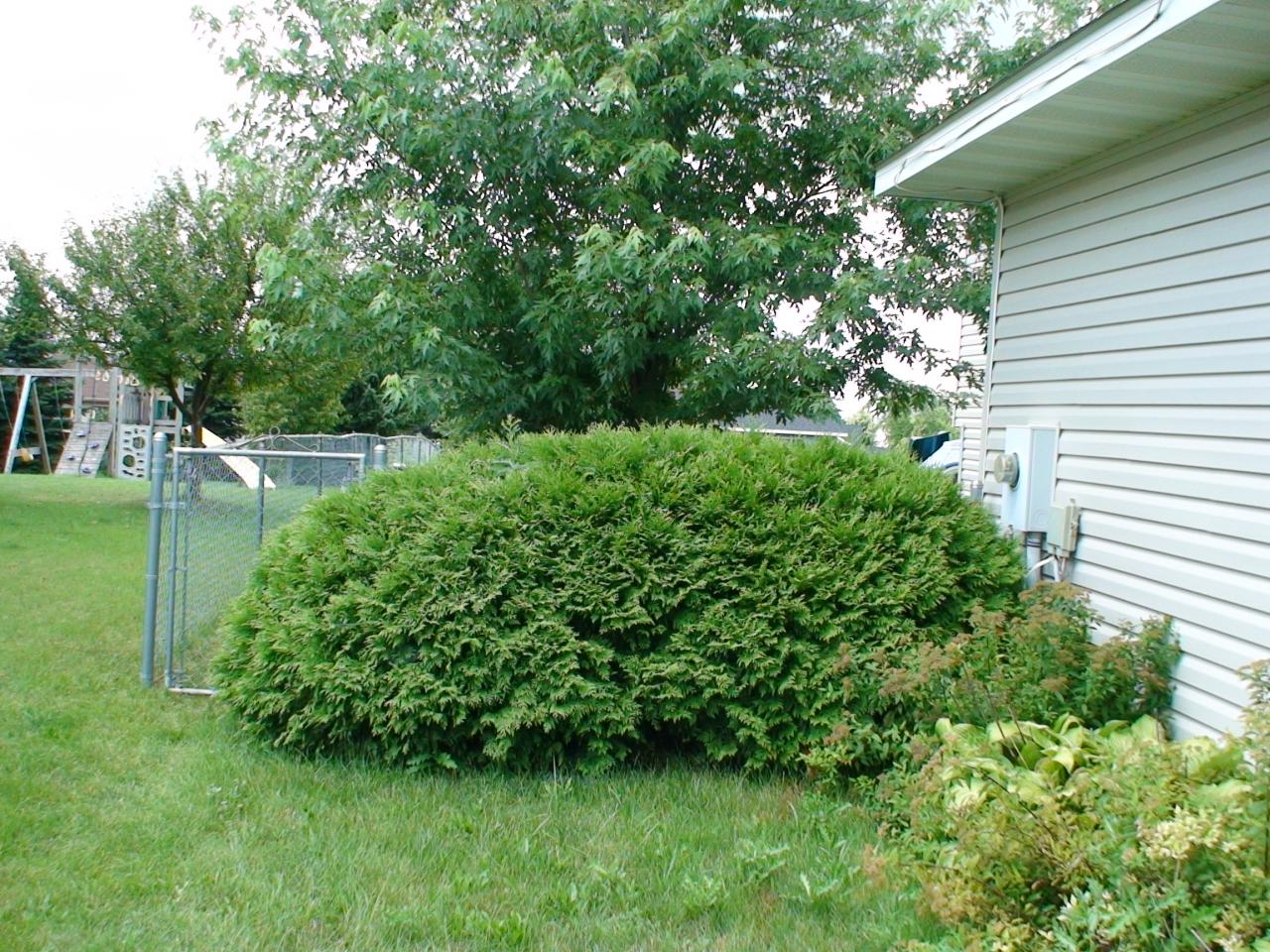 DSC03430