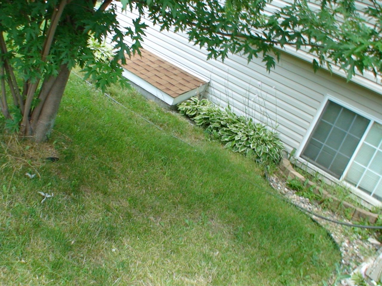 DSC03433