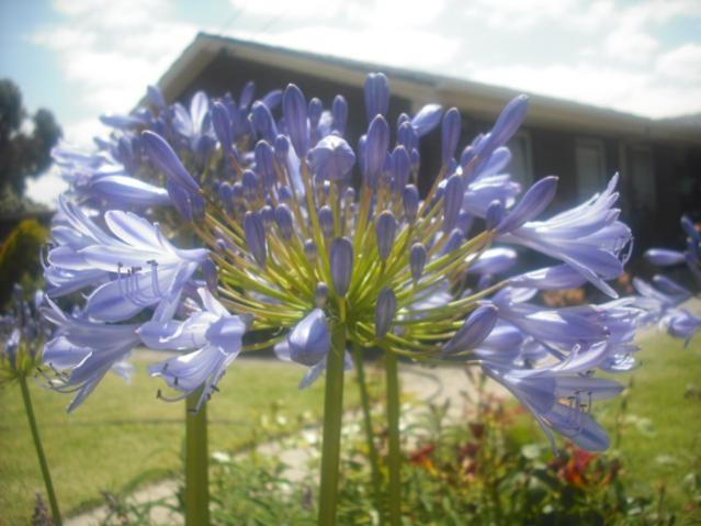 DSCF0043