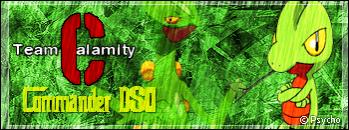 dsqbannerzu5