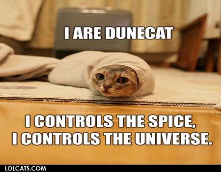 dunecat
