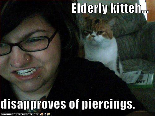 Elderly Kitteh dos nt apprve!