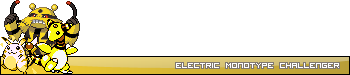 ElectricUser