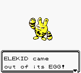 ELEKID came out if its EGG!