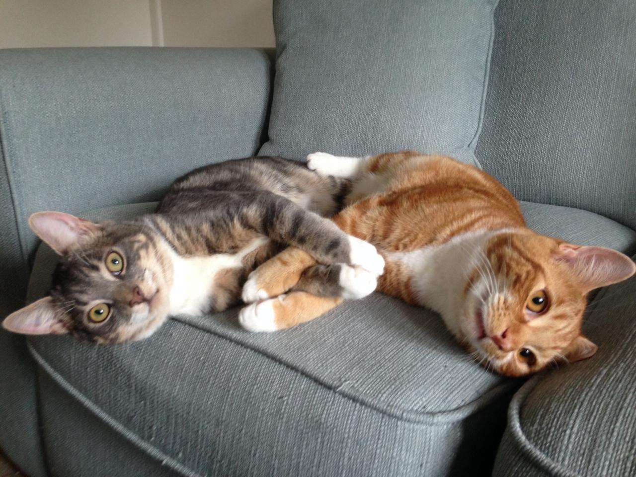 Eli & Sheldon