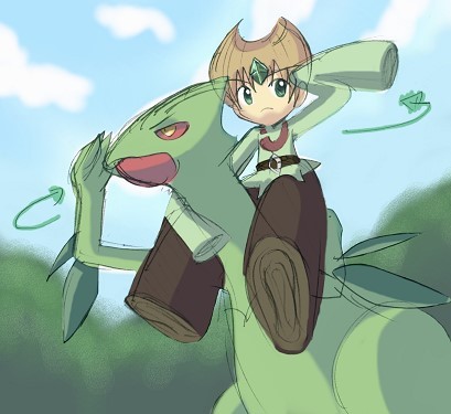 emerald & sceptile