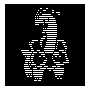 Engraved Meganium.