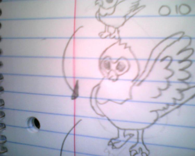 Evo of the small bird