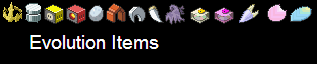 Evolution Items
