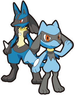 evolution rio