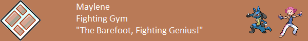 Example Gym Leader Banner, Maylene