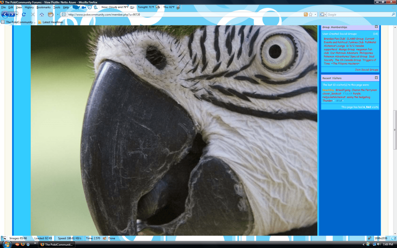 Eye spy Netto Azure, Mr. Parrot.