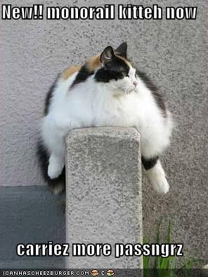 fat monorail cat