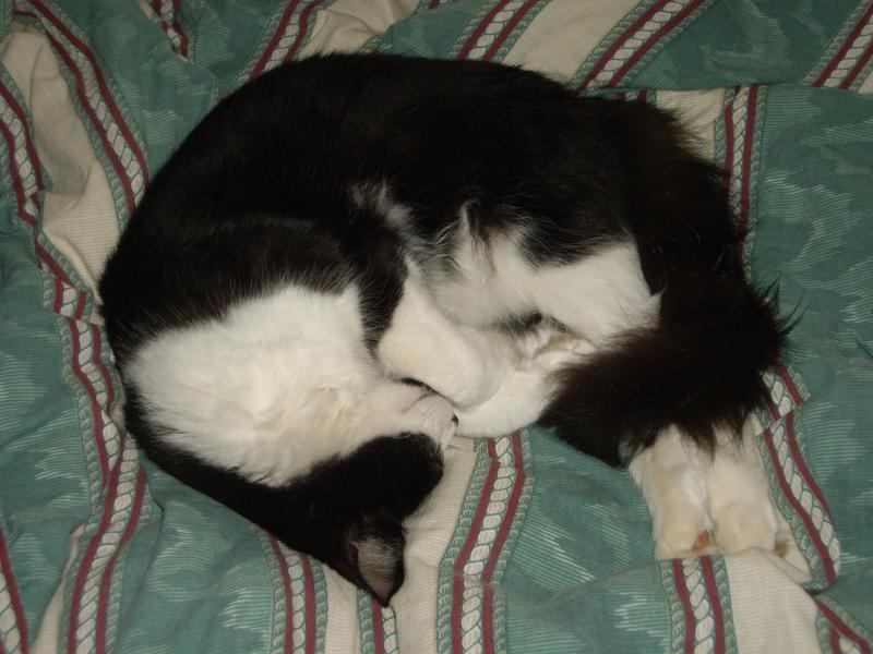 Felix sleeping oddly at 7 months.