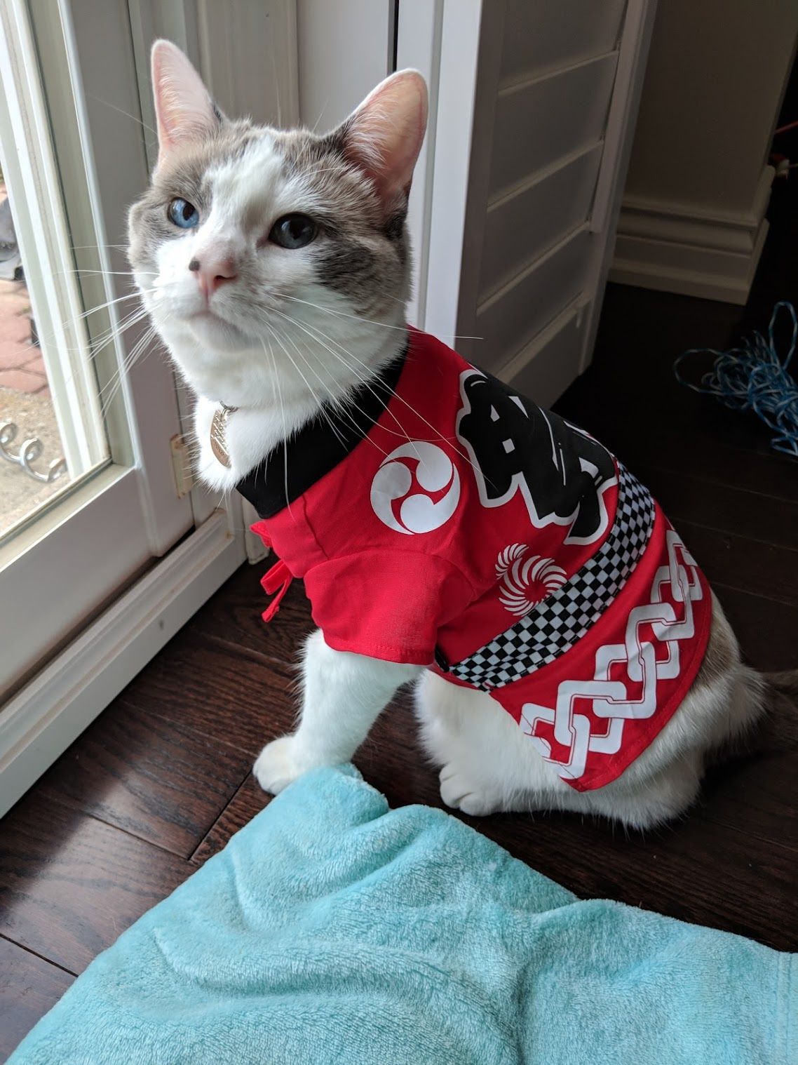 Festival yukata from Japan!!