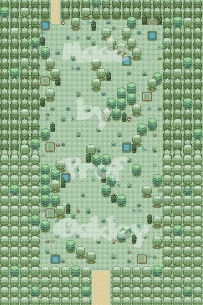 First and only route, Forest Path