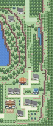 First town and GYM.