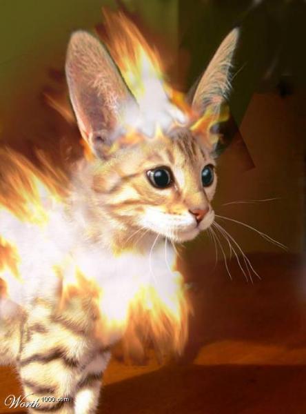 Flareon