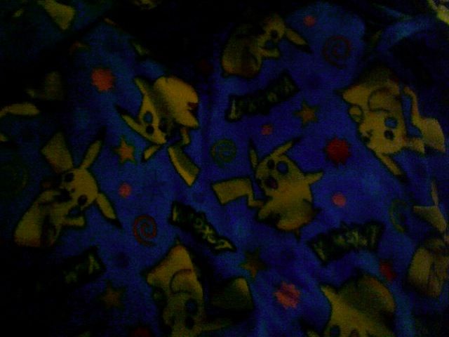 Fleece Blanket. o3o got the fleece at a garage sale~ whoohoo~