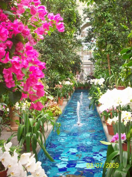 Flower Garden