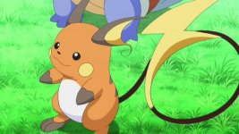 flower the raichu *alpha sapphire*