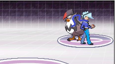 flying trainer