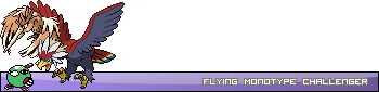 FlyUser