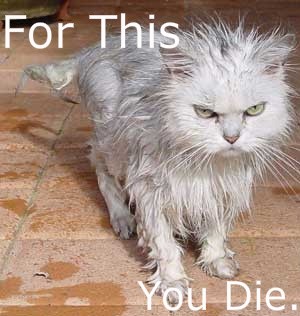 For this 
you die