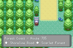 Forest Coast
